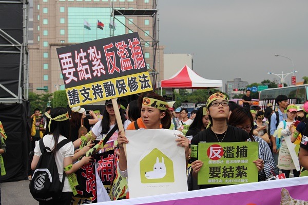 民眾為流浪貓狗站上凱道。陳珊珊/攝