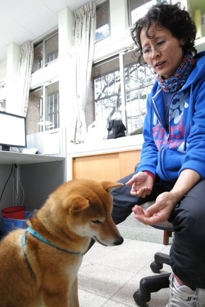 可樂認定總務主任姜大如是主人,照片中的可樂剛來到學校不久,只有9.8公斤,而現在卻幸福肥成15公斤。 安溪國中/提供