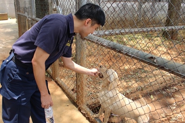 每隻緝毒犬都是訓練師的寶啊！　何宜/攝