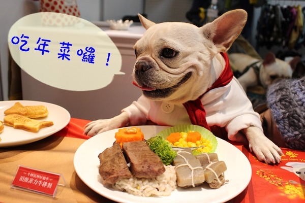 台北冬季寵物用品大展今天展開，許多鮮食業者推出寵物年菜，讓毛孩跟我們一起吃年夜飯！　江幸芸/攝