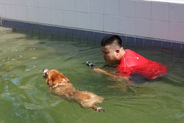 飼主用相機記錄愛犬戲水的模樣。 江幸芸/攝
