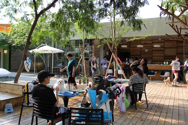 即便是平日下午,店內人氣和「犬氣」也很旺。 江幸芸/攝