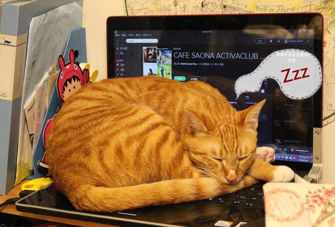 無論討論進行得多熱絡，艾斯都趴在櫃台的筆電上呼呼大睡，毫無反應。　黃靖雅/攝