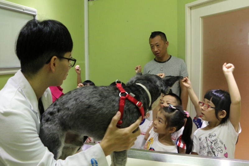 小朋友們踴躍舉手發言。 全國動物醫院連鎖體系/提供