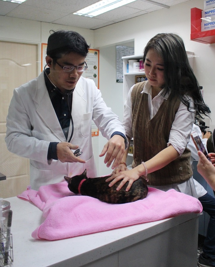 謝板橋回娘家健檢。　黃靖雅/攝