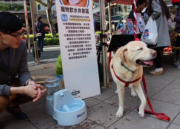 活動現場設有寵物飲水休息區。　黃靖雅/攝
