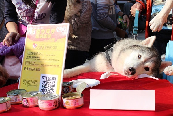 「到底開始了沒，我等不及了！」　黃靖雅/攝