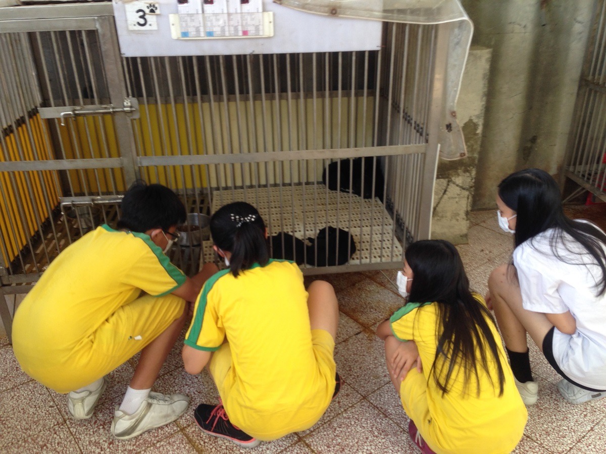 小朋友對小狗充滿好奇。 凱拉/提供