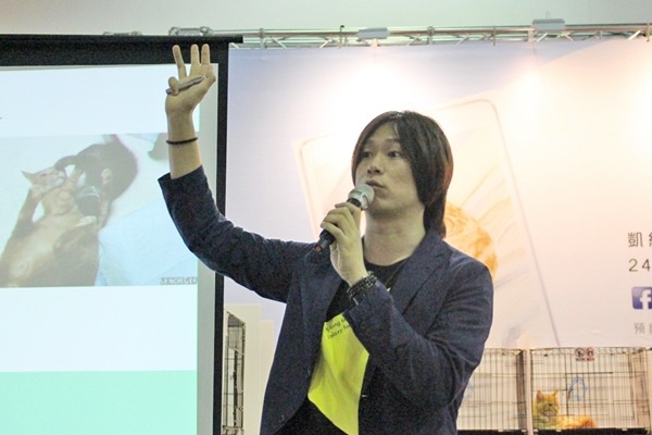 林子軒建議飼主幫貓咪絕育、給牠們可躲藏與獨處的空間，也要和貓咪玩遊戲宣洩精力，必要時尋求醫生協助。　江幸芸/攝