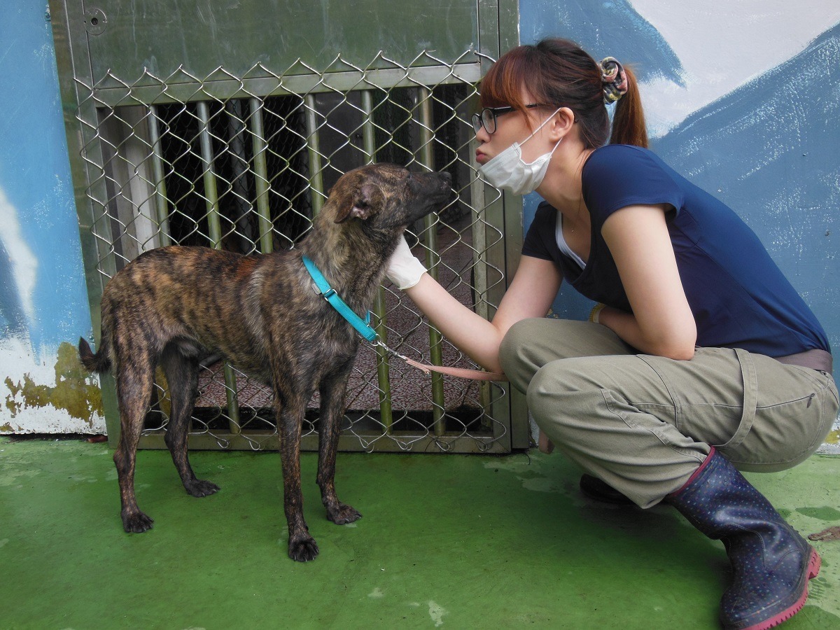 改善狗狗行為問題,不一定要用壓迫的方式。 凱拉/提供