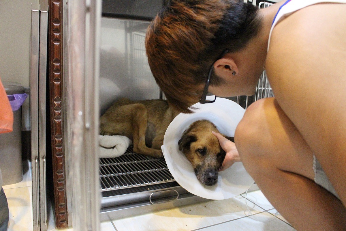 雖然暑假期間很多同學都不住在學校宿舍了，但每天都有不少人為了優漢回來。　黃靖雅/攝