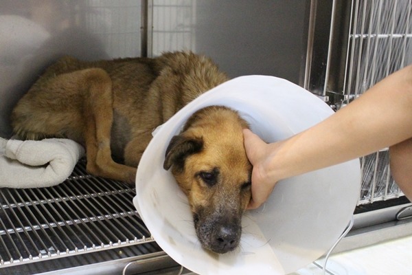 北護學生抽空來探望住院的優漢。　黃靖雅/攝