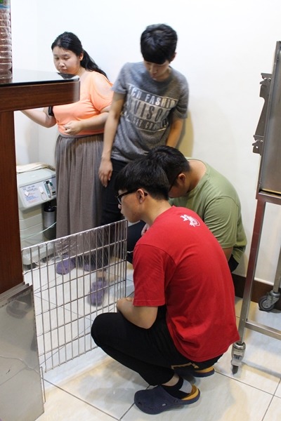 短短半小時的探病時間，訪客不曾間斷。　黃靖雅/攝