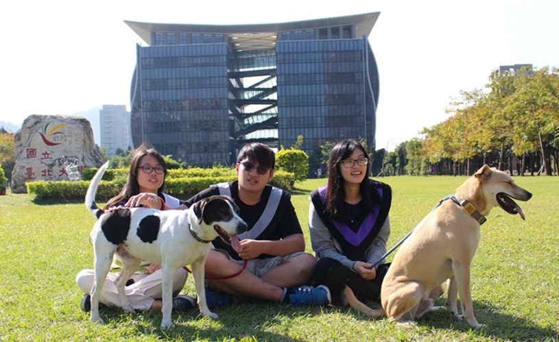 畢業生把握機會,穿著學士服來和牛牛合照。右為愛動物社送養出去的大黃,大黃的主人今天也帶牠來參加牛牛的歡送會。 黃靖雅/攝