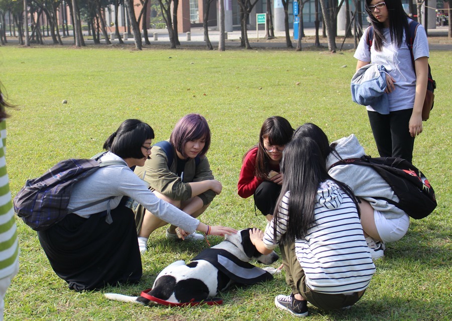 歡送會開始不久後,就有很多同學來跟牛牛道別。 黃靖雅/攝