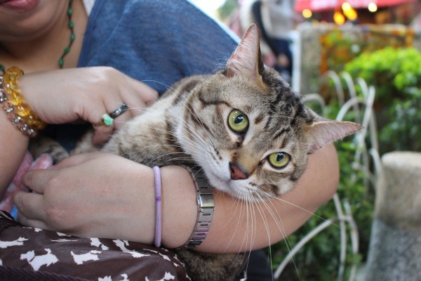 媽咪，我想回家。  江幸芸/攝