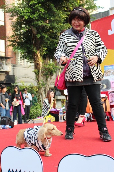 我們都是斑馬裝。  江幸芸/攝