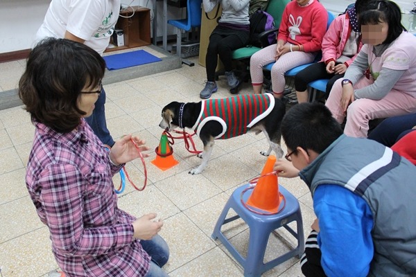 學生和Pina比賽套圈圈，圈圈有不同顏色和大小，可以強化認知能力。　江幸芸/攝