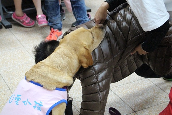 學生擺好姿勢後，Dior聽令上前「貼貼」，狗狗貼多久、學生就要撐多久，可訓練肌肉支撐力。　江幸芸/攝