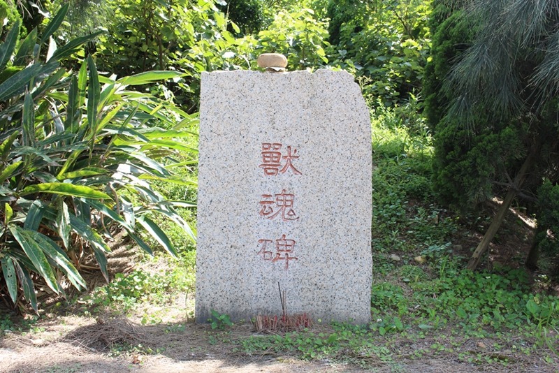 簡稚澄生前每天都會到獸魂碑前點香，為死去的動物悼念。　資料照。何宜/攝