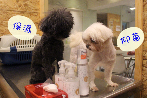 冬天毛孩容易乾燥，可使用有保濕、抑菌功能的產品來保護皮膚。　江幸芸/攝