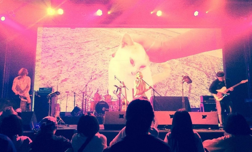 林瑪黛演出畫面。　林瑪黛/提供