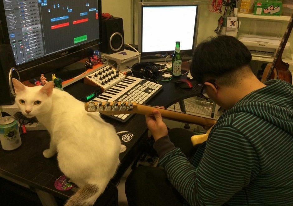 林瑪黛工作室養了4隻貓1隻雞，被他們戲稱為動物園。　林瑪黛/提供