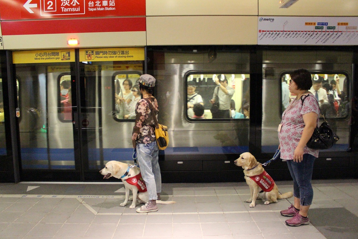 Koby(左)和Xanti(右)是不是排隊排得很整齊呢? 黃靖雅/攝