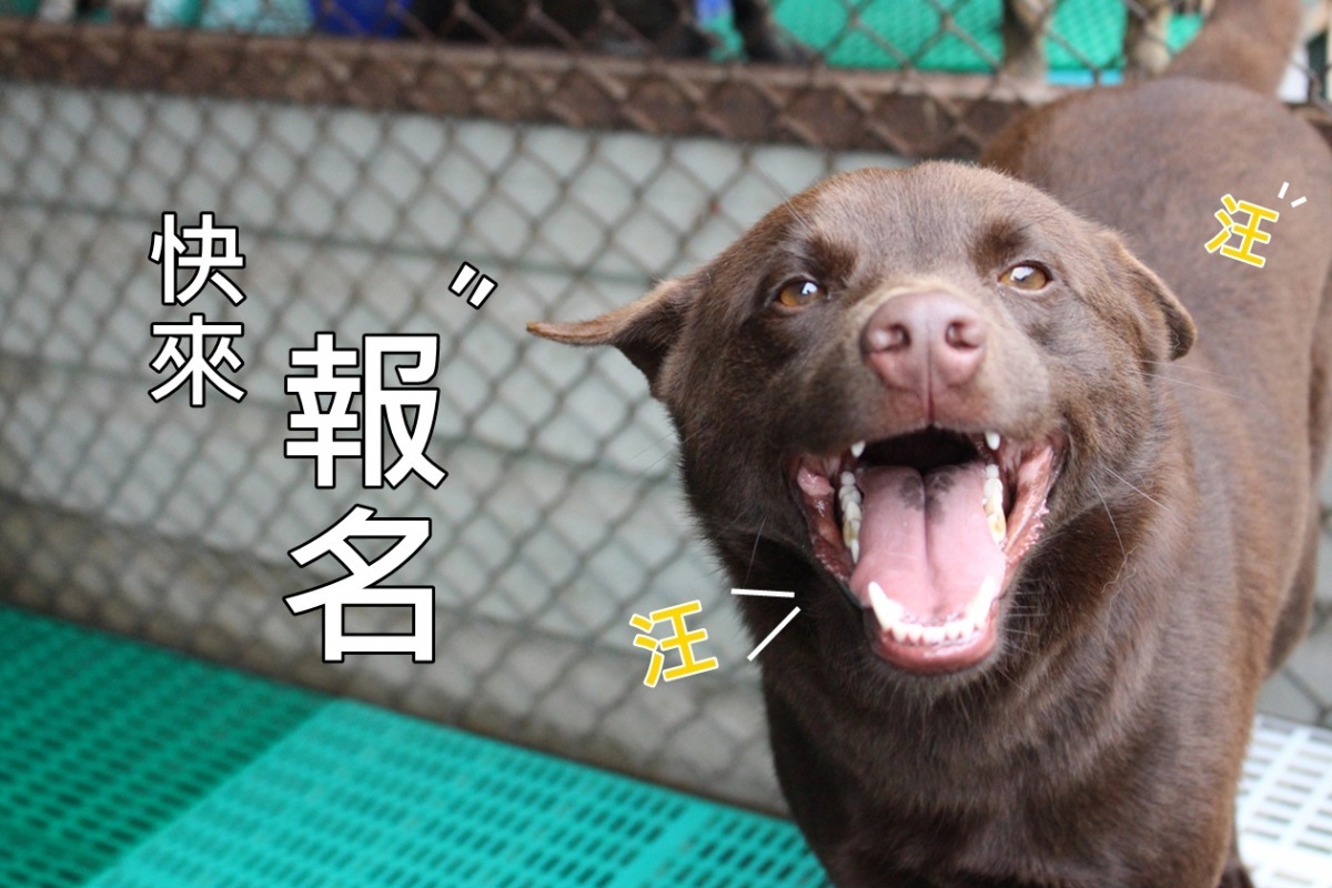 兩堂課程一樣精采，錯過可惜。 示意圖，黃靖雅/攝