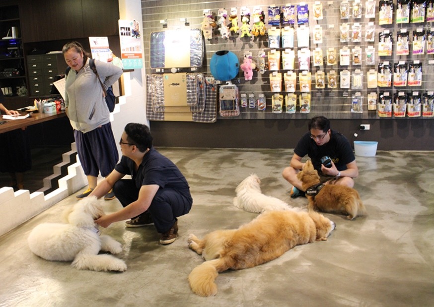 客人、客狗和店狗福福(右下角黃金獵犬)打成一片，客狗也很放鬆的隨意趴在地上休息。　黃靖雅/攝