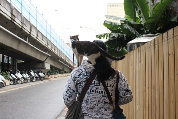 即使處於人生低潮,劉子承心裡想的仍是小唯,情緒過了,便和小唯一起繼續面對生活。 江幸芸/攝