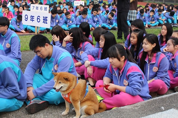 安溪國中的校犬「可樂」和學生一起聽演講。　江幸芸/攝