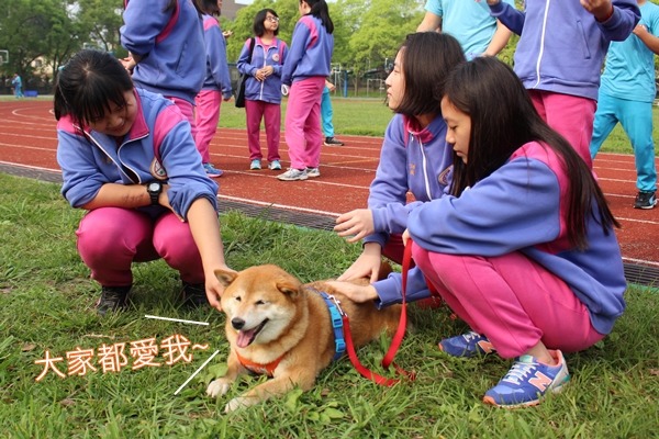 安溪國中校犬可樂盡忠職守、保衛校園，學生都很喜歡牠，也會主動跟外賓介紹可樂。　江幸芸/攝
