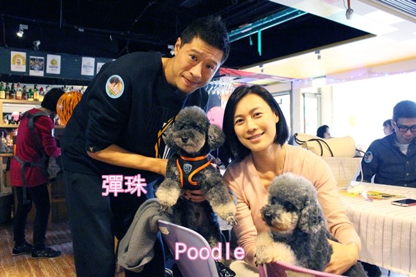 Poodle、彈珠、蕭偉傑和張鈺凰，再加上女兒，一家過得幸福。　江幸芸/攝