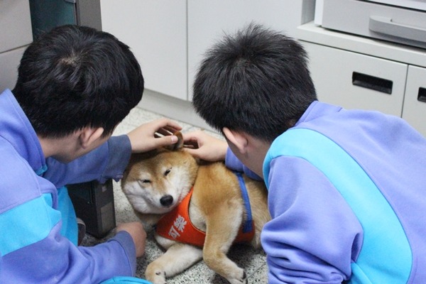 學生下課時會到總務處來找可樂。 江幸芸/攝