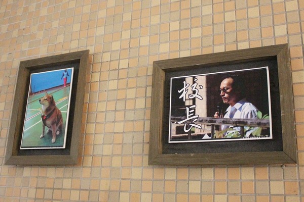 安溪國中校園牆上,校長和校犬照片並陳,但簡財源一點都不介意。 江幸芸/攝