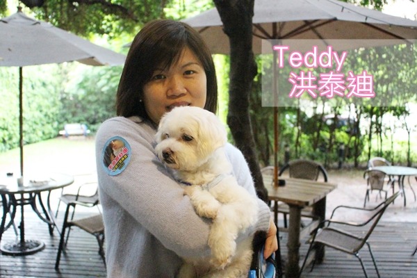 泰迪外貌雖不如其他狗兒討喜,卻也找到願意真心待牠的主人李春華。 江幸芸/攝