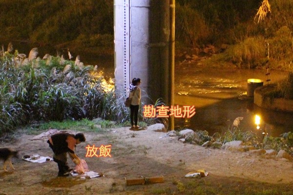 愛媽走下河床放飯,妮可則是勘查地形與狗兒反應。 李娉婷/攝