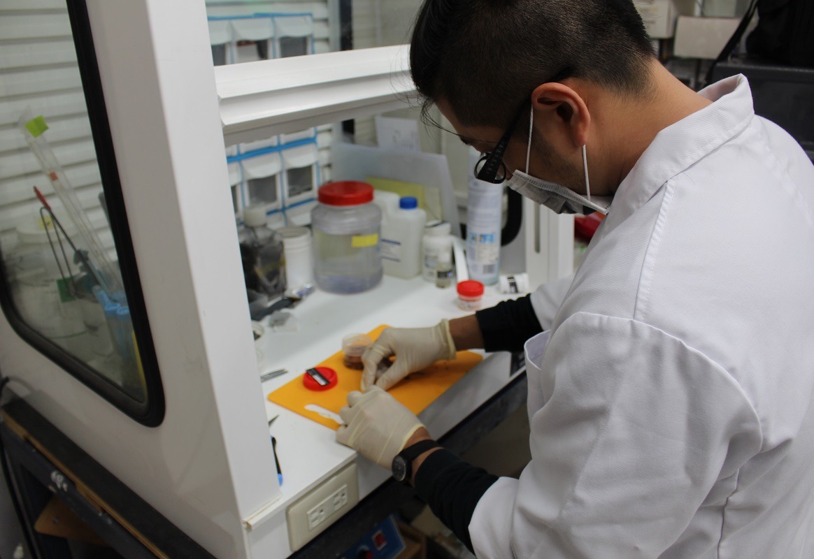 繼續教育課程不能只有小動物醫學領域。　台灣動物新聞網資料照(何宜/攝)