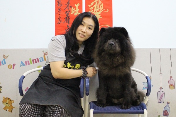 柔寶媽因為鬆獅犬踏上救援、中途之路,除了鬆獅,也救其他大型犬。 江幸芸/攝