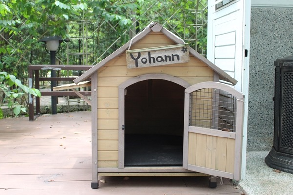 優漢有專屬狗屋,上頭還有牠的名字。 江幸芸/攝