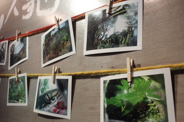 攝影貓拍下飼主意想不到的畫面。　江幸芸/攝