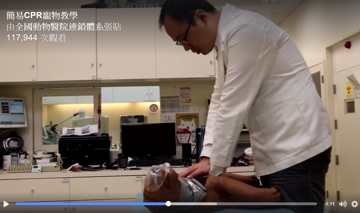CPR也許平常用不上，但學起來總是有備無患。　截圖自簡易CPR寵物教學