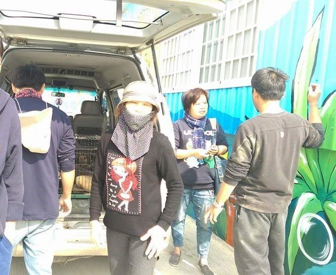 徐園長和志工們一得到消息，隔天立刻從台南趕到高雄救援。　志工吳美美/提供