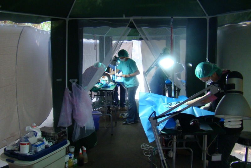 早年下鄉絕育的設備，包含帳棚、桌椅、發電機都要自己準備。  林荀龍/提供