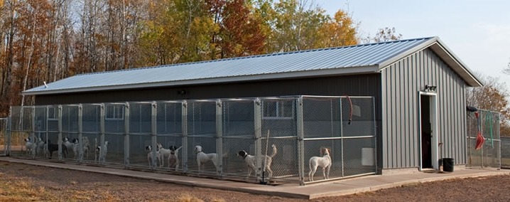 美國明尼蘇達州繁殖犬舍。　取自網路