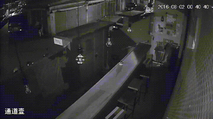 小黑白倉皇逃跑。　動物誌/提供