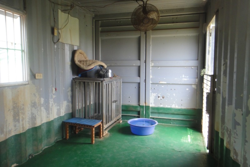 老病犬專屬房，剛好正值清潔時間，狗兒在外頭放風。  江幸芸/攝
