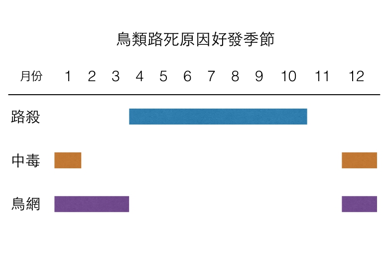 特生中心助理研究員林德恩根據路殺社資料,歸納出鳥類路死原因的好發季節。 製圖/江幸芸 × 資料來源/海峽兩岸鳥類學術研討會