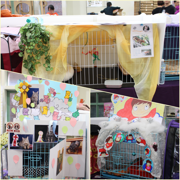 現場貓籠也爭奇鬥艷，左下角的就是Brita專屬貓籠。  江幸芸/攝